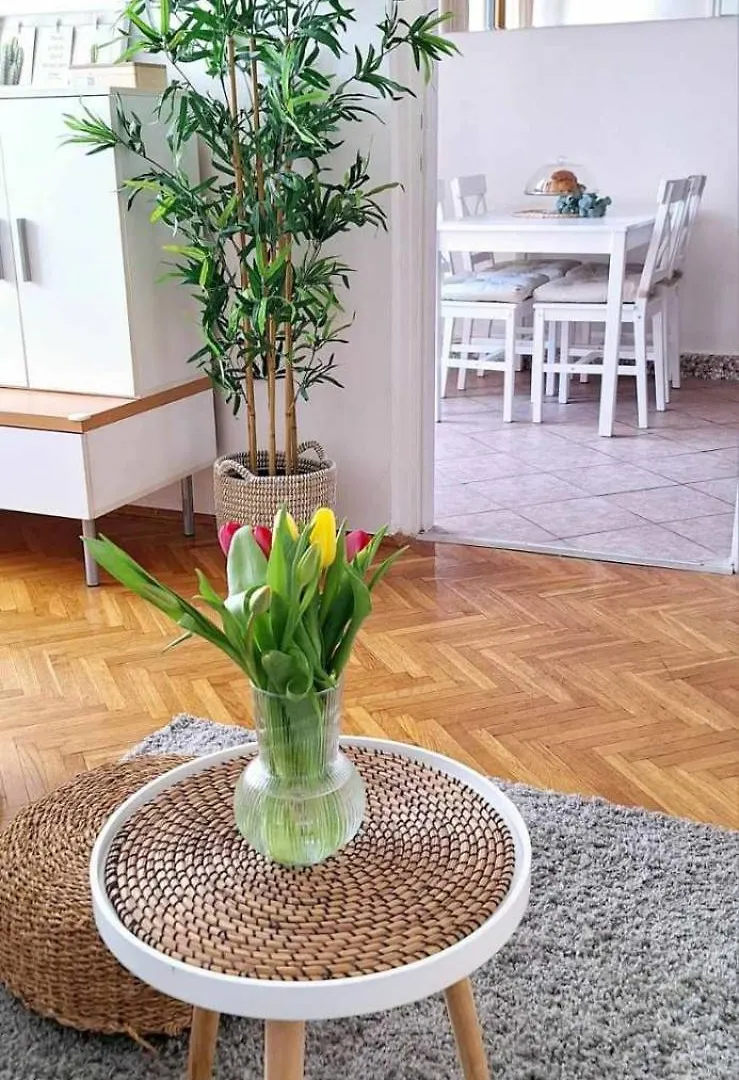 Studio Apartment Letizia Rijeka Croatia